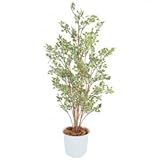 【人工植栽】　タカショー グリーンデコ和風 ベンジャミン　ハワイアン鉢付　1.5m　GD-120W