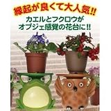 開運招福花台 フクロウ