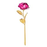 Blesiya 人工　箔メッキ　バラの花　インデー、母の日　素晴らしい　プレゼント　全4色 - ローズレッド