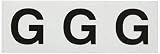 TRUSCO(トラスコ) アルファベットステッカー 50×50 「G」 透明 3枚入 TSN-50-G-TM