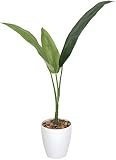 造花アート・観葉植物　トラベラーズパーム1.1＜ お中元 お歳暮 フラワーギフトに＞