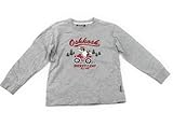 OSHKOSH(オシュコシュ) Tシャツ・カットソー 110サイズ 男の子