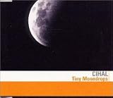 Tiny Moondrops�`���̎�