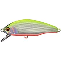 ▲エイミス▲ Amazon.co.jp: 4個入 ネジ式 Dカン 内径14mm 中サイズ Dリング