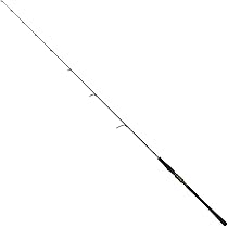 【極美品】ダイワ LATEO BS 69MS ブレードジギング 極美品】ダイワ LATEO BS 69MS ブレードジギング ダイワ