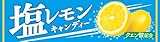 ライオン菓子 塩レモンキャンディースティック 10粒×10個