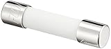 ESCO エスコ 250Vx10A/直径6.4mm管ヒューズ(消弧剤入/2本) EA758ZZ-26A