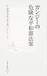 ガンジーの危険な平和憲法案 (集英社新書)