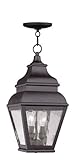Livex Lighting 2604-07 Exeter 2-Light Outdoor Chain Hang, Bronze by Livex Lighting