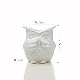 RaiFu 植木鉢　かわいい　フクロウ　陶器　植木ポット　園芸　卓上　ミニスカイプ　ホーム　オフィス　装飾　デコレーション　インテリア ホワイト　言わざる