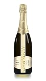 Chandon(シャンドン) ブリュット [ スパークリング 辛口 オーストラリア 750ml ]
