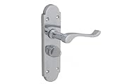 Forge Backplate Handle Privacy - Gable Chrome Finish by Forge