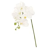 MAGIQ 東京堂 上質な造花  バレリーナファレノS   ホワイト FM000302-001