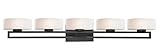 z-lite 3012 – 5 V-led cetynia – 41.38 " 20 W 5 LED Bath Vanity , Paintedブロンズ仕上げマットオパールガラス