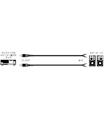 Amazon | ビクター ピンコード [VXML20G] | JVCケンウッド | 変換