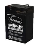 6 Volt Rechargable Battery 4.5A [並行輸入品]
