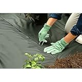 Dalen Bulk Ground Staple Bulk Box Of 1000 Staples