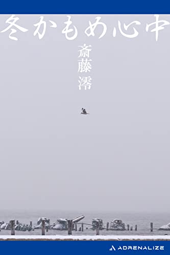 斎藤澪:冬かもめ心中