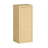 arne ウォールシェルフ 幅24 奥行21 高さ59 耐荷重10kg おしゃれ 北欧 石膏ボード 玄関 壁掛け 棚 戸棚 キッチン 飾り棚 ウォールラック WallBox-DX H six ナチュラル