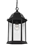 Sea Gull 6238701 – 12 Sevierアウトドアペンダント、1-light 100ワット、ブラック