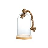 ガラスドーム (ロープ) [JZ069]