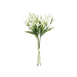 日本ビダヤコム HOMEDECO ブバリアの束(3本/束) FD6055 ホワイト