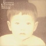 UNFINISHED REMEMBERS