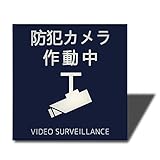 Seagron 防犯カメラ 作動中（イラスト型）サインプレート 両面テープ付き ステッカー 2㎜アクリル製 おしゃれ 耐水 耐候 (ブルー 100×100㎜（1枚）)