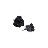 florever　フロールエバー　フレッシュルックベイビーローズ　ミッドナイトブラック　12輪　Φ2.5～3.5cm　 プリザーブドフラワー　Baby Rose　Midnight Black