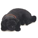 ニニアンドキノ パーフェクトペット (大サイズ) パグ (黒) ぬいぐるみ 犬 いぬ イヌ リアル 本物 そっくり 雑貨 動物 アニマル 癒し 動く プレゼント ギフト お祝い かわいい 犬のぬいぐるみ