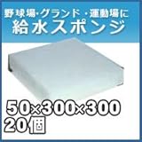 ノーブランド品 給水スポンジ スイトール グランド用品 50×300×300 20個入りセット