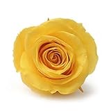 ~Coco Heart~ 　1輪で買える　プリザローズ・ルミエール サフランイエロー 花直径約４ｃｍ　(ハンドメイド アレンジ　クリスマス　母の日　プリザブドフラワー・ローズ）