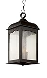 Trans Globe Lighting Seeded Masonic Hanging Lantern, 23, Rubbed Oil Bronze by Trans Globe Lighting