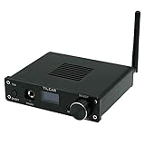 HIFI Bluetooth 5.0 プリアンプ 胆汁 ヘッドフォンアンプ DAC オーディオ デコーダチップ 高低音調整 チューブ内蔵 ブラック 一年保証