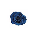 florever　フロールエバー　フレッシュルックスプレーローズ　マジョリカブルー　8輪　Φ3.5～4.5cm　 プリザーブドフラワー　Spray Rose　Majolica Blue