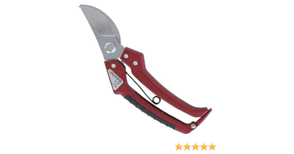 Amazon サボテン エクセレント 剪定鋏 5mm Ex 1 園芸用はさみ