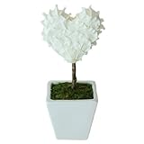 KOBE Flower smith ReiRi　プリザーブドフラワー ハートピアリー ホワイト 送料無料