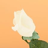 YideaHome バラ装飾まり　ロマンチック人造飾り花　かわいい模造花　絹製の造花　家居インテリア　薔薇 クリスマスプレゼント ギフト ガラス ローズ 置物 結婚式用 部屋　ホーム