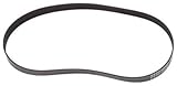 Electrolux Homecare Products TV205006 Eureka W Vac Belt by Electrolux