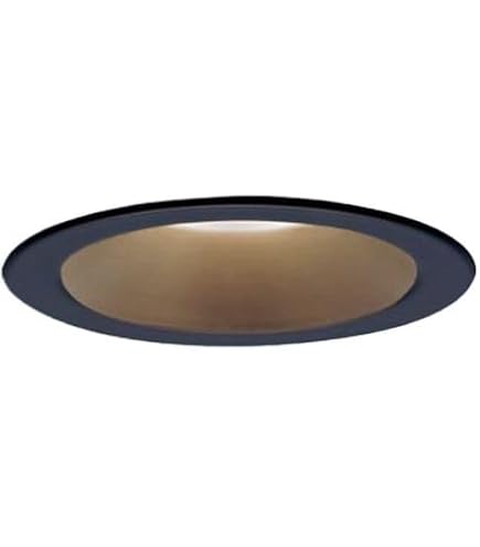 Amazon.co.jp: パナソニック (Panasonic) ダウンライト LED 天井埋込型
