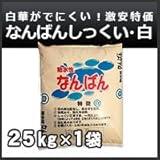馬場商店 なんばんしっくい(南蛮漆喰) 白 約25kg