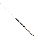 Amazon | ダイワ(DAIWA) 船竿 ビシアジX MH-150 釣り竿 | DAIWA | 船竿