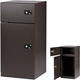 SDS エス・ディ・エス 宅配キーパーNicole 2個受取りタイプ ウォルナットブラウン 左開き TK21-WB-L