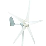 HUKOER （フコア） 風力発電機　12V/24V 100w/200w/300w/400W 　防水ウインドコントローラー　NSKベアリング　5ブレード　低風速　効率的な風力発電機 (12V　300W