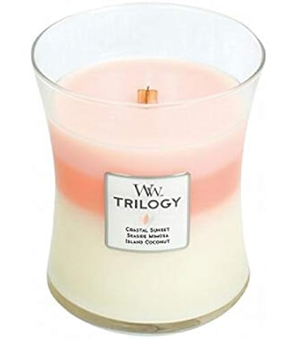 Amazon.co.jp: カメヤマ WoodWickトリロジーハースウィックL 38