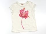 ZARA(ザラ) Tシャツ・カットソー 110サイズ 女の子