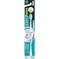 電動ハブラシ Amazon.co.jp: 【2025革新・スイープ振動技術】PLUZZ EB1 音波