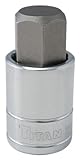 Titan Tools 15619 19 mm 1/2 Drive Hex Bit Socket [並行輸入品]