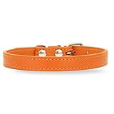 [LaLUCA GOODS] 犬 首輪 猫 首輪 鈴 定番 スタンダード PU レザー シンプル 小型犬 中型犬 ドッグ 散歩 カラフル オレンジ（鈴なし） S