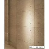 コンクリート調 のりなし壁紙 サンゲツ FE-3827 92cm巾 5m巻【防カビ】【日本製】 [簡易パッケージ品]